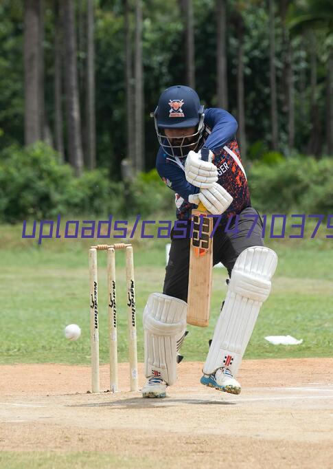 indo cricket boss casino dono movie