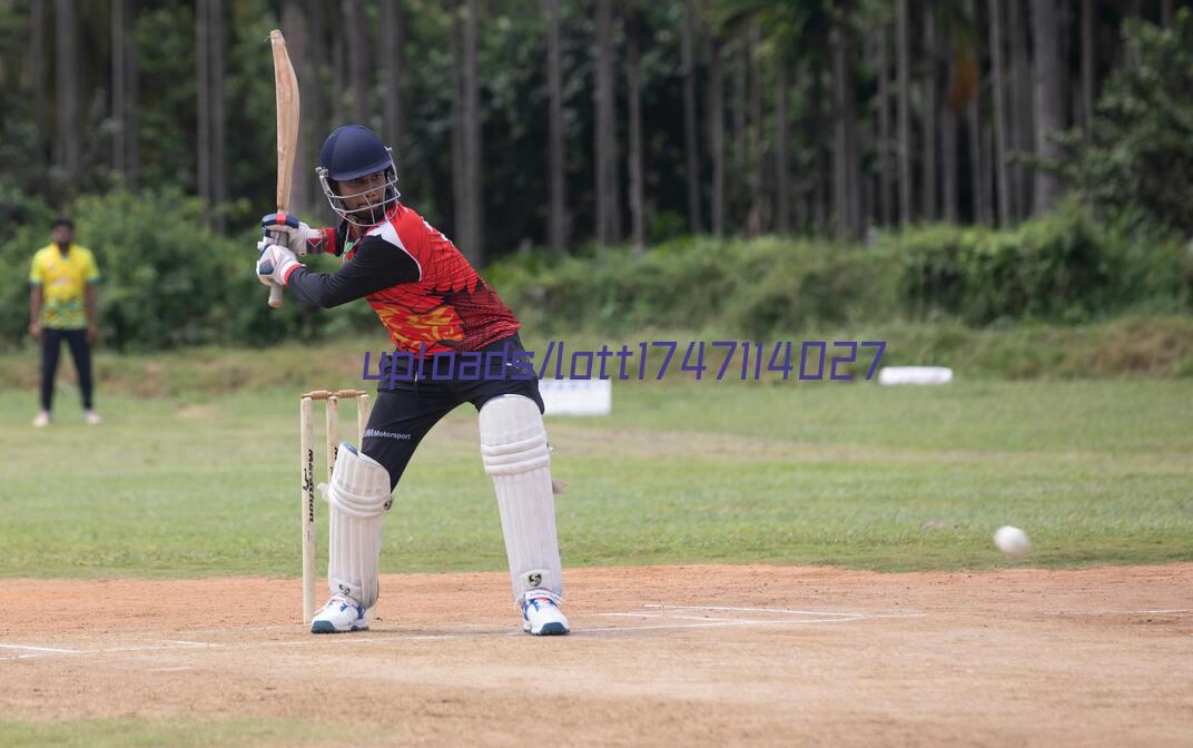 australia women's national cricket league live