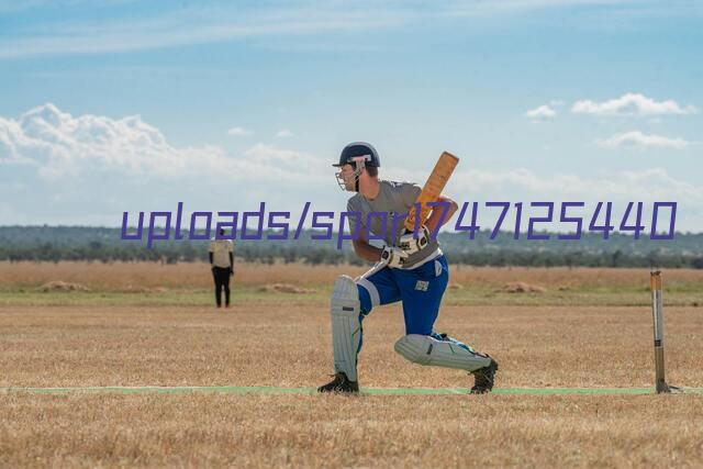 play cricket